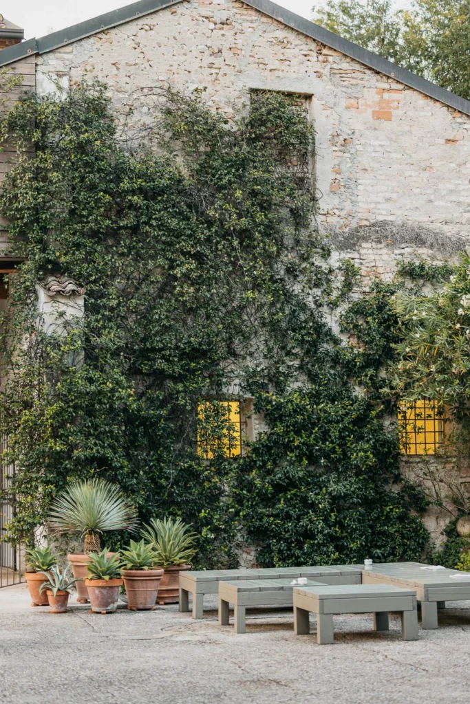 Courtyard wall with ivy and romantic hanging lanterns at Convento dell’Annunciata
