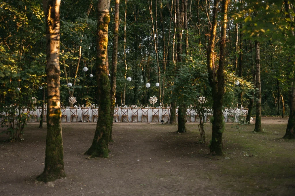Wide view of long imperial dinner table set up in the woods